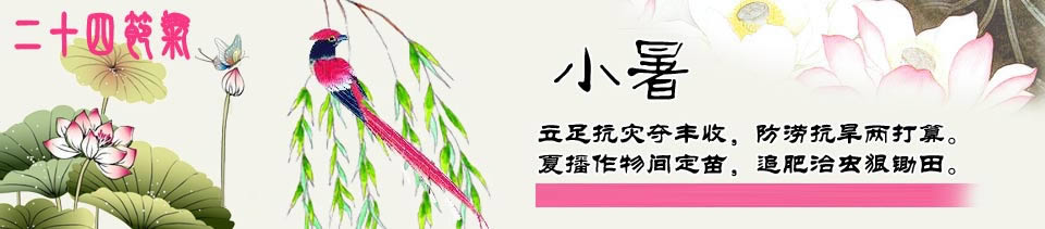 小暑彩信Banner