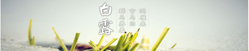 白露短信Banner