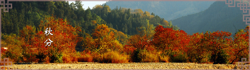 秋分短信Banner