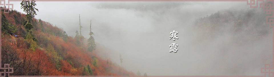 寒露Banner