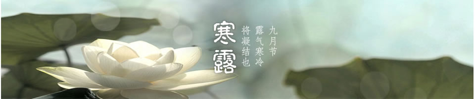 寒露Banner