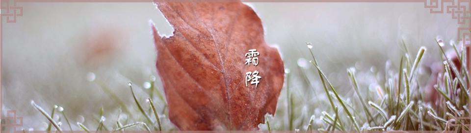 霜降短信Banner