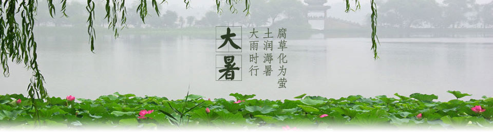 大暑彩信Banner