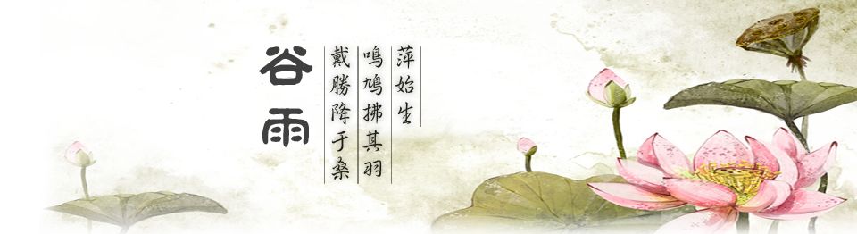 谷雨彩信Banner