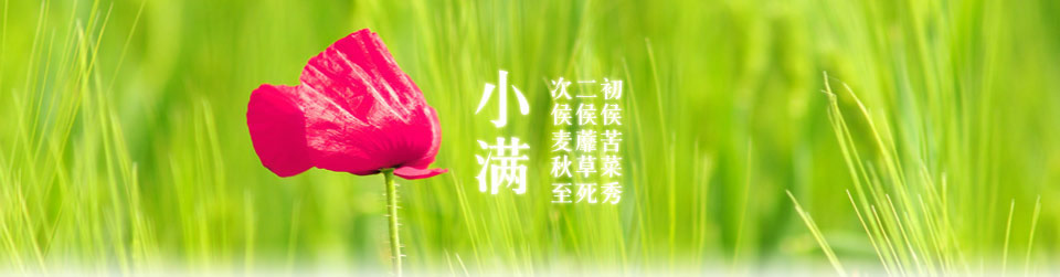 小滿彩信Banner