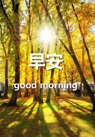 微信good morning